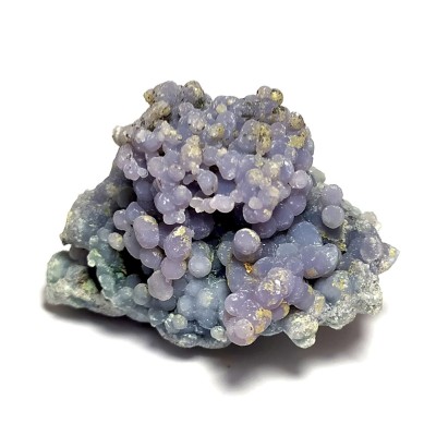 Grape Chalcedon č.18