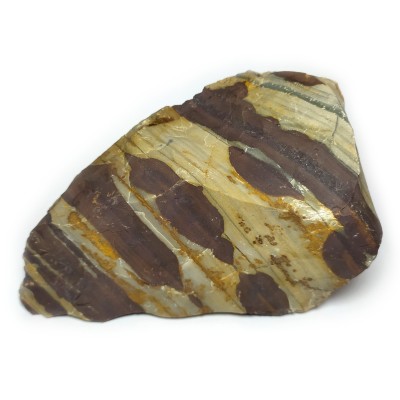 Jaspis zebra 2109g