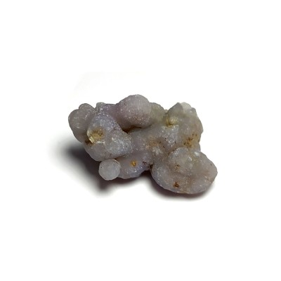 Grape Chalcedon č.8